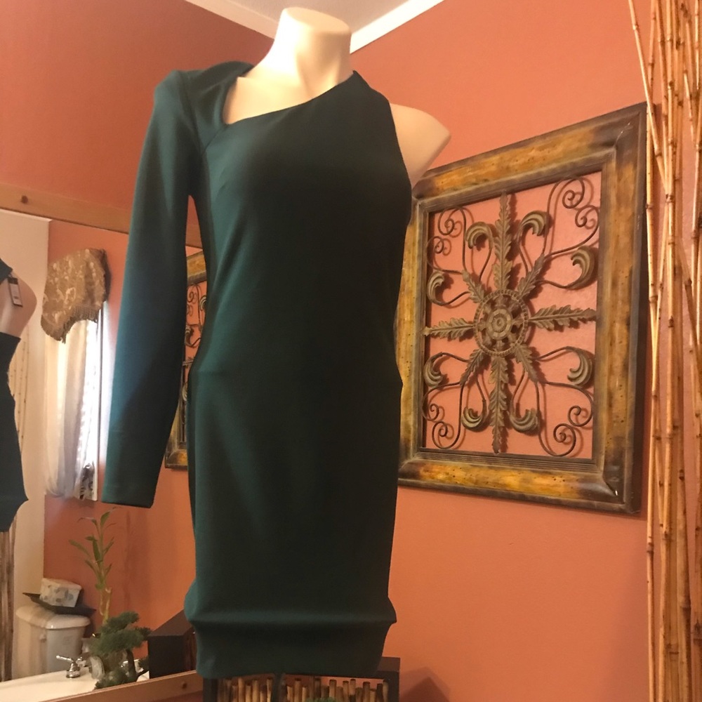 New with tags stretch green dynamite dress